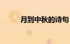 月到中秋的诗句 月到中秋的诗歌