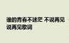 谁的青春不迷茫 不说再见 《谁的青春不迷茫》主题曲：不说再见歌词