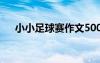 小小足球赛作文500字 小小足球赛作文