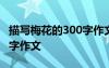 描写梅花的300字作文四年级 描写梅花的300字作文