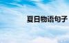 夏日物语句子 夏日物语作文