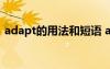 adapt的用法和短语 adapted的用法与搭配