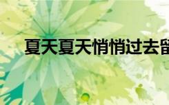 夏天夏天悄悄过去留下小秘密 夏天夏天