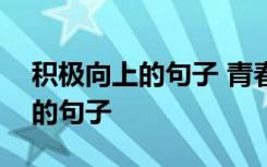 积极向上的句子 青春 正能量 生活 积极心态的句子