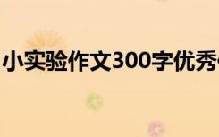 小实验作文300字优秀作文 小实验作文300字