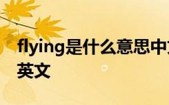 flying是什么意思中文 fly a kite是什么意思英文