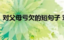 对父母亏欠的短句子 对父母亏欠的心酸说说