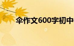 伞作文600字初中作文 伞作文800字