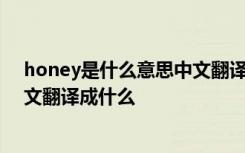 honey是什么意思中文翻译成什么字 honey是什么意思中文翻译成什么
