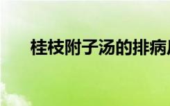 桂枝附子汤的排病反应（桂枝附子汤）