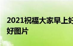 2021祝福大家早上好动态表情 祝福大家早上好图片