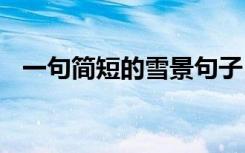 一句简短的雪景句子 简短的雪景句子大全