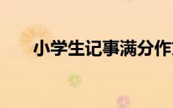 小学生记事满分作文 小记小学生作文