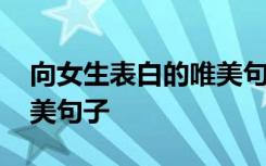 向女生表白的唯美句子简短 向女生表白的唯美句子