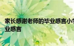 家长感谢老师的毕业感言小学文章怎么写 家长感谢老师的毕业感言