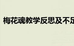 梅花魂教学反思及不足 《梅花魂》教学反思