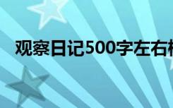 观察日记500字左右植物 观察日记_500字
