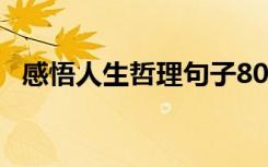 感悟人生哲理句子80字 感悟人生哲理句子