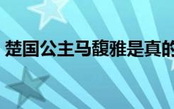 楚国公主马馥雅是真的吗（楚国公主马馥雅）