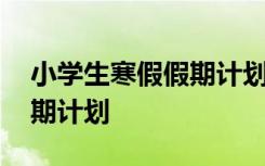 小学生寒假假期计划表格图 小学生的寒假假期计划
