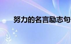 努力的名言励志句子 激励人心的句子
