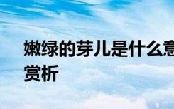 嫩绿的芽儿是什么意思 冰心《嫩绿的芽儿》赏析