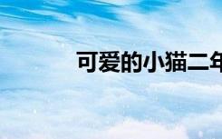 可爱的小猫二年级 可爱的小猫