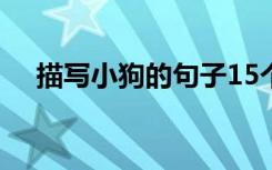 描写小狗的句子15个字 描写小狗的句子