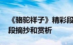 《骆驼祥子》精彩段落 《骆驼祥子》精彩片段摘抄和赏析