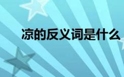 凉的反义词是什么 有的反义词是什么?