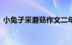 小兔子采蘑菇作文二年级 小兔子采蘑菇作文