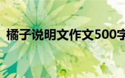 橘子说明文作文500字左右 橘子说明文作文