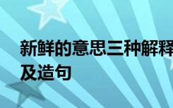新鲜的意思三种解释造句 高分子化学的解释及造句
