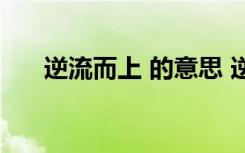 逆流而上 的意思 逆流而上的成语意思