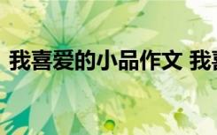 我喜爱的小品作文 我喜欢小品为题目的作文