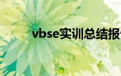 vbse实训总结报告 vbse实训总结