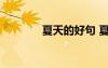 夏天的好句 夏天的好词好句