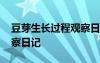 豆芽生长过程观察日记七天 豆芽生长过程观察日记