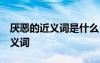 厌恶的近义词是什么 标准答案 关于厌恶的近义词