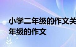 小学二年级的作文关于小动物的作文 小学二年级的作文