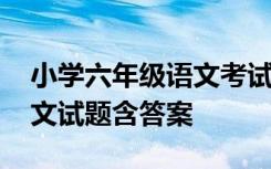 小学六年级语文考试题及答案 小学六年级语文试题含答案