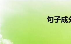 句子成分的分析