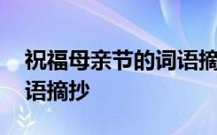 祝福母亲节的词语摘抄大全 祝福母亲节的词语摘抄