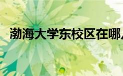 渤海大学东校区在哪儿（渤海大学东校区）