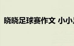 晓晓足球赛作文 小小足球赛看图作文450字