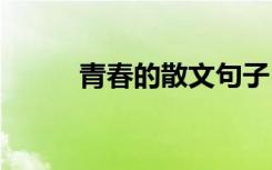 青春的散文句子 青春的优美散文