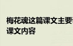 梅花魂这篇课文主要讲了什么内容 《梅花魂》课文内容