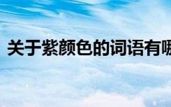 关于紫颜色的词语有哪些 表示紫颜色的词语