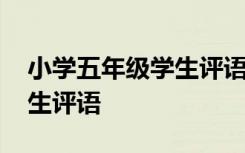 小学五年级学生评语大全简短 小学五年级学生评语