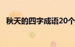 秋天的四字成语20个 秋天的四字成语积累